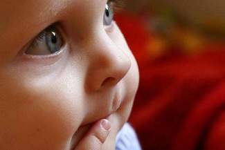 Niemce: Powstanie pierwszy publiczny żłobek w gminie wiejskiej w naszym regionie