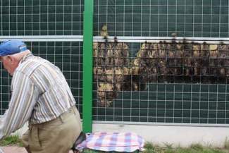 Podpalają ekrany przy nowych drogach, kradną znaki. Najgorzej jest w weekendy