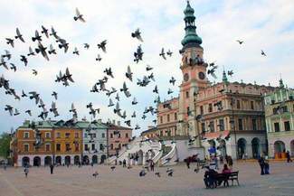 Radiowa "Czwórka" będzie nadawać z Zamościa