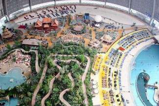 Chcą postawić jej zarzuty, ale muszą ją najpierw znaleźć. Zebrała pieniądze i zniknęła