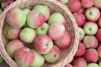 Dziś będą protestować sadownicy. Zablokują drogę w Annopolu