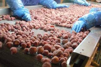 Przetwórnia w Rykach pierwszą ofiarą embarga Putina?