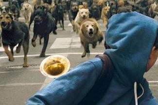 Co widział Wrocław? Nowe Horyzonty Tournée w CK