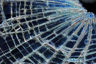 Wandal wybił szyby w bloku. Policjanci ruszyli śladem krwi