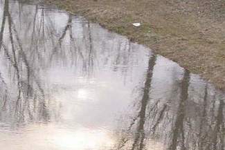 Strażnicy miejscy wyciągnęli z rzeki mężczyznę