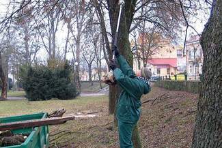 Chełm: Służby nie muszą odśnieżać. Za to pracują w parku