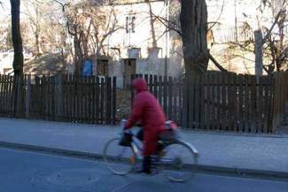 Chełm: Ponad 600 ruder w mieście. Połowa bez gospodarzy