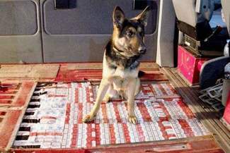 Auta przemytników pójdą pod młotek