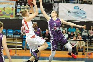 Pierwsze koty za płoty. Przetarcie przed Eurobasketem