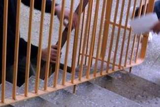 Wójt gminy Sitno jest prezesem stowarzyszenia, które ma przejąć szkołę?