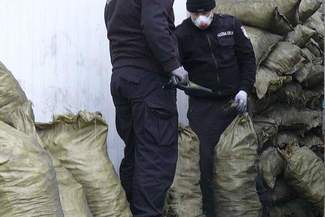 Kontrabanda w węglu drzewnym