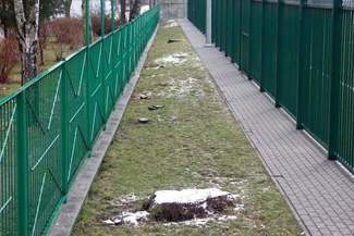 Przez rok miasto zgodziło się na wycięcie 4652 drzew w Lublinie