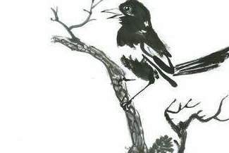 Tusz niezwykły. Wystawa Michała Makary w klubie Miniatura