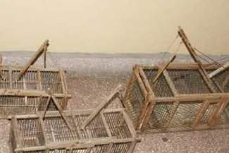 Zamość: Łapał ptaki dla przyjemności, grozi mu 5 lat więzienia