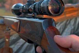 Zastrzelił kota z wiatrówki i wiózł go na taczce. Bo płoszył mu ptaki