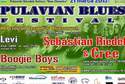 Pulavian Blues Festival w Puławach