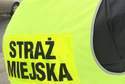 Strażnicy miejscy kierowcy nie bili. "Już się dogadaliśmy i przeprosiliśmy"