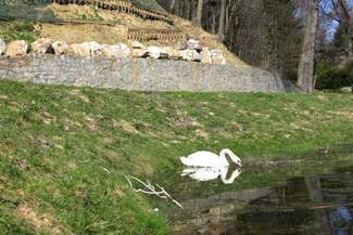 Ogród Botaniczny w Lublinie już czynny (godziny otwarcia, kalendarz imprez)
