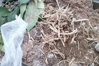 Nie segregujesz śmieci mimo deklaracji? Będziesz płacić więcej