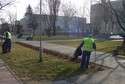Więźniowie miejskie tereny oczyszczają nieodpłatnie (fot. UM Biała Podlaska)