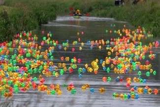 (fot. Wojciech Nieśpiałowski / archiwum)