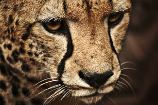 opis zdjecia
testuje 
hehe