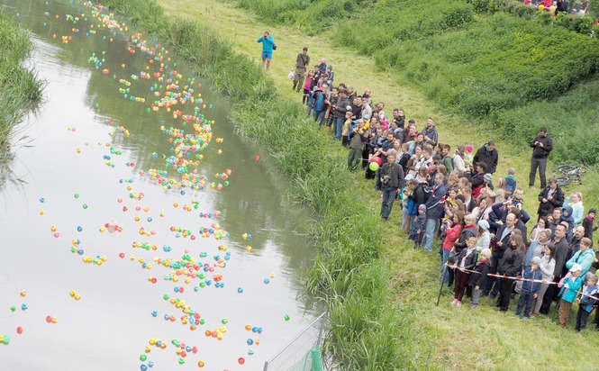 Rywalizację kaczek na brzegu Bystrzycy obserwowały tłumy kibiców (fot. Wojciech Nieśpiałowski)