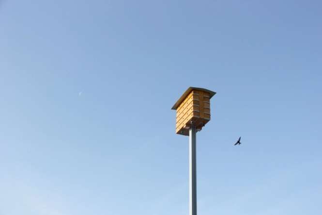 Nowa wieża lęgowa dla ptaków w puławskim porcie (fot. MOSiR Puławy)