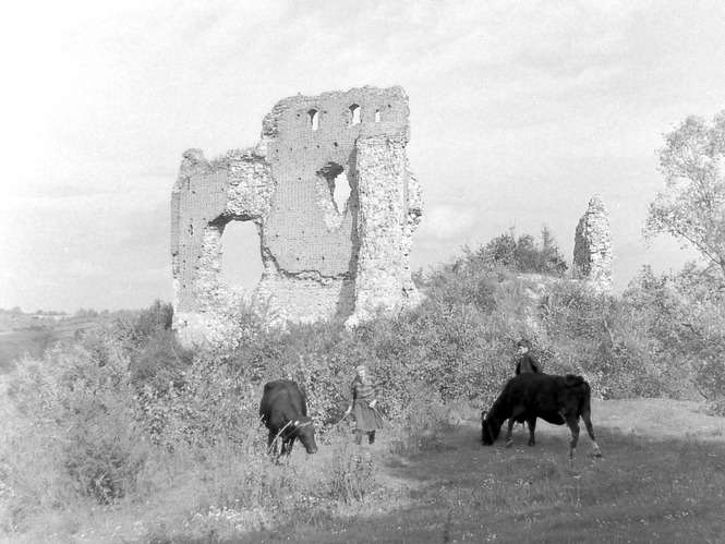 Ruiny zamku w Bochotnicy - 1967 rok, (Fot. i ryc. ze zbiorów Mikołaja Spóza)