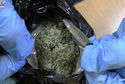 Policjanci zabezpieczyli 5 kg suszu marihuany (fot. KWP Lublin)