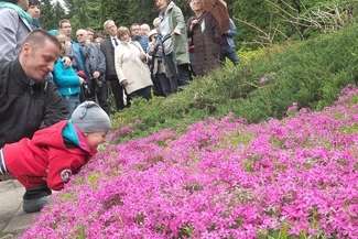 Ogród Botaniczny w Lublinie (Fot. Wojciech nieśpiałowski)