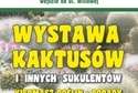 Wystawa kaktusów i innych sukulentów w Ogrodzie Botanicznym