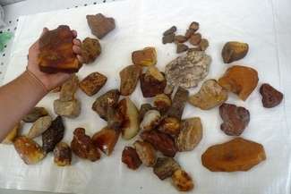 (fot. Służba Celna)