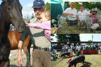 Aleksander Łój z miejscowości Czołki w powiecie zamojskim, Weronika Wołoszyn z Zawadki w powiecie biłograjskim, Jan Gozdecki z Kolonii Gorajec Zagroble w powiecie zamojskim