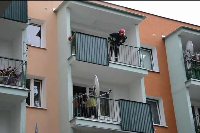 Kiedy strażacy chcieli zejść do psa z balkonu na wyższym piętrze, do domu wrócił właściciel