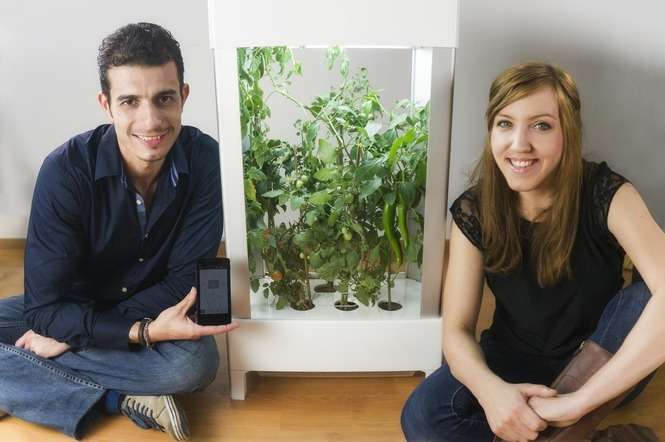 Pochodząca z Białej Podlaskiej Agnieszka Nazaruk jest współautorką NIWY, nowoczesnego systemu do uprawy roślin w domu przy pomocy smartfona. We wrześniu produkt trafi na rynki całego świata (fot. materiał prasowy)