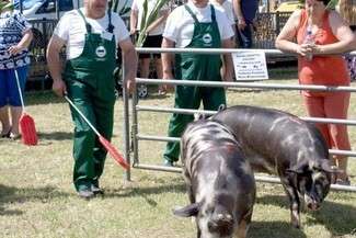 Fot. Archiwum LODR w Końskowoli / ZDR w Zamościu