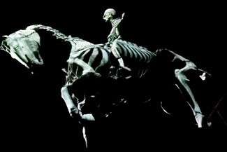 Artystycznie prześwietlony marszałek z kasztanką wzbudzili oburzenie Związku Piłsudczyków (fot. Łukasz Dudkowski)