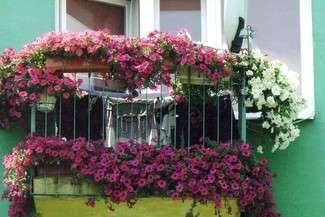 Fot. SM im. W. Łukasińskiego