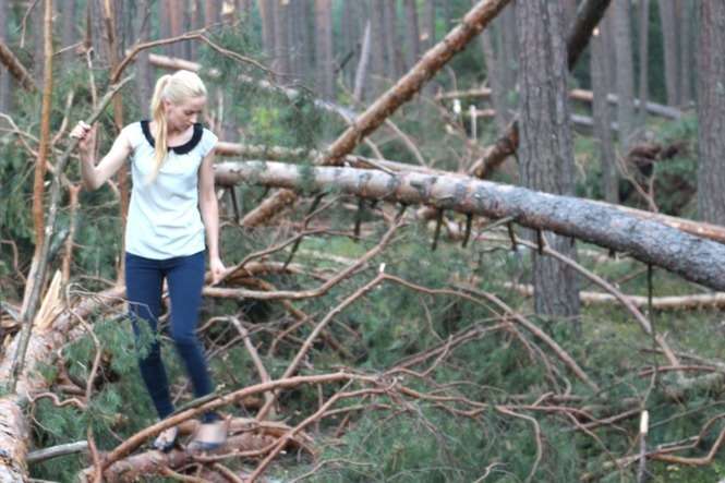 O przywrócenie porządku w lasach prywatnych po nawałnicy apeluje radna Agata Borowiec (fot. materiały Agaty Borowiec)