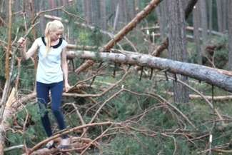O przywrócenie porządku w lasach prywatnych po nawałnicy apeluje radna Agata Borowiec (fot. materiały Agaty Borowiec)
