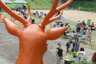 Fot. Maciej Kaczanowski