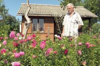 Osobiste miejsce w mieście. Rodzinne ogrody działkowe (zdjęcia)