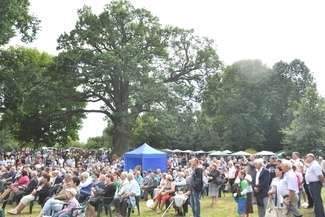 W tym roku dąb powinien być dokładnie zmierzony przez geodetę