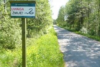 Fot. Stanisław Mielnik/ Nadleśnictwo zwierzyniec