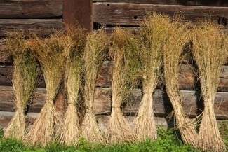 Fot. materiały organizatora