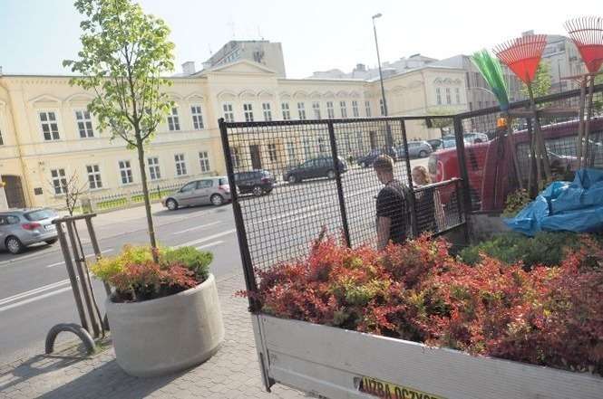 Na początku czerwca betonowe donice z drzewami i kwiatami stanęły na pl. Wolności oraz na Krakowskim Przedmieściu między 3 Maja a Ewangelicką