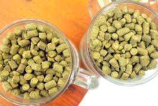 Piwo to zupa chmielowa. Obalamy ten i inne piwne mity