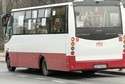 Czy w Kraśniku powstaną nowe, „kościelne” linie autobusowe? Wszystko zależy od magistratu (fot. Maciej Kaczanowski)