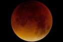 Krwawy olbrzym na nocnym niebie. Zaćmienie Księżyca - zdjęcia Czytelników